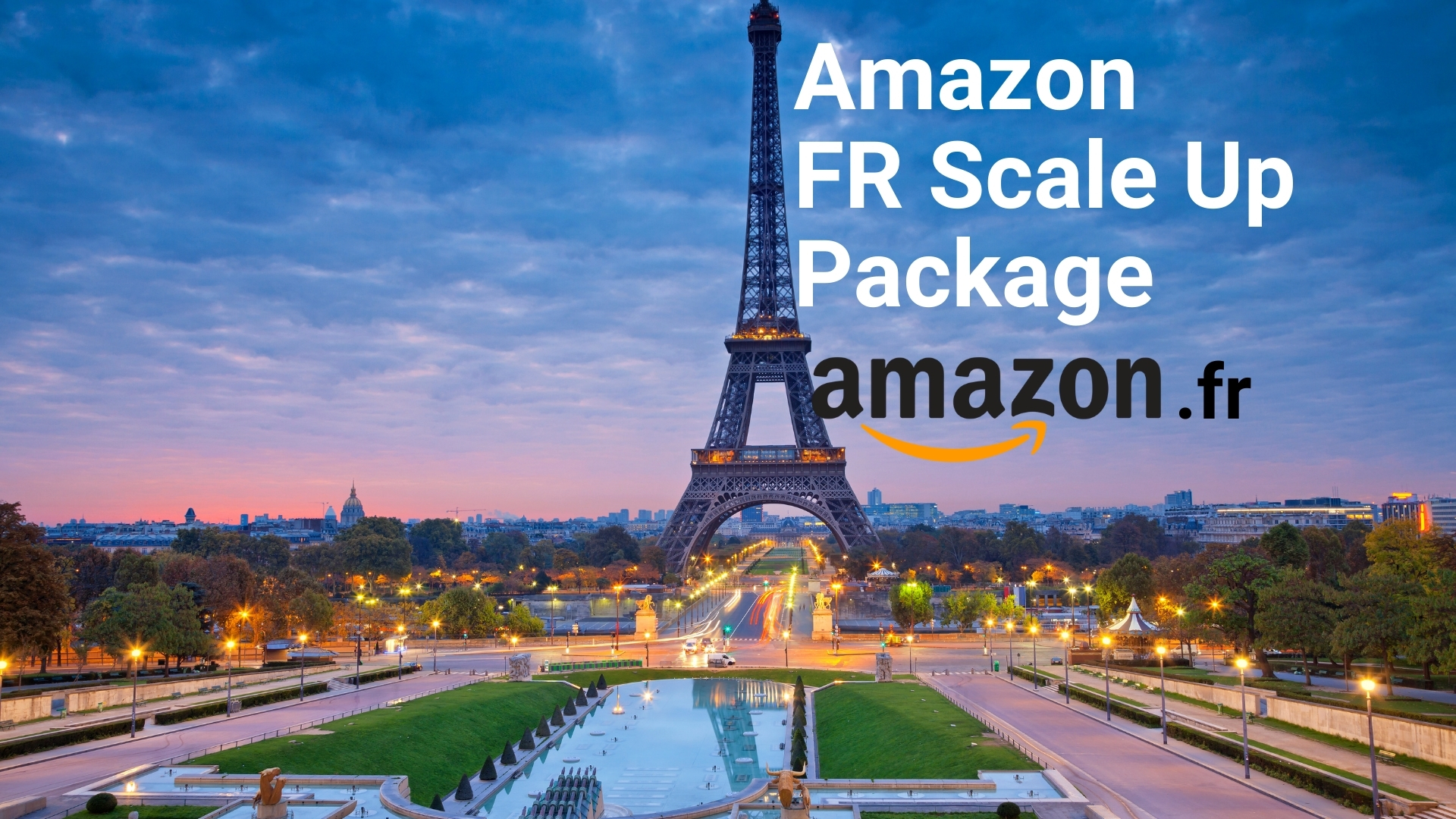 amazon france private label and fba sales consultancy